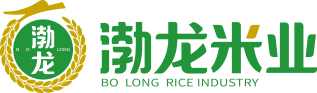 荊州保安公司